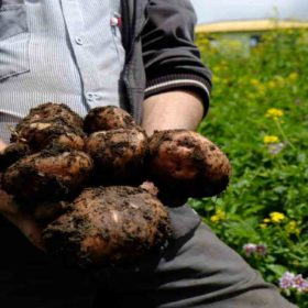 Agricultores: tranquilos con el fenómeno de El Niño