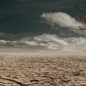 ONU advierte que la salud humana estará en grave riesgo si no protegemos el ambiente